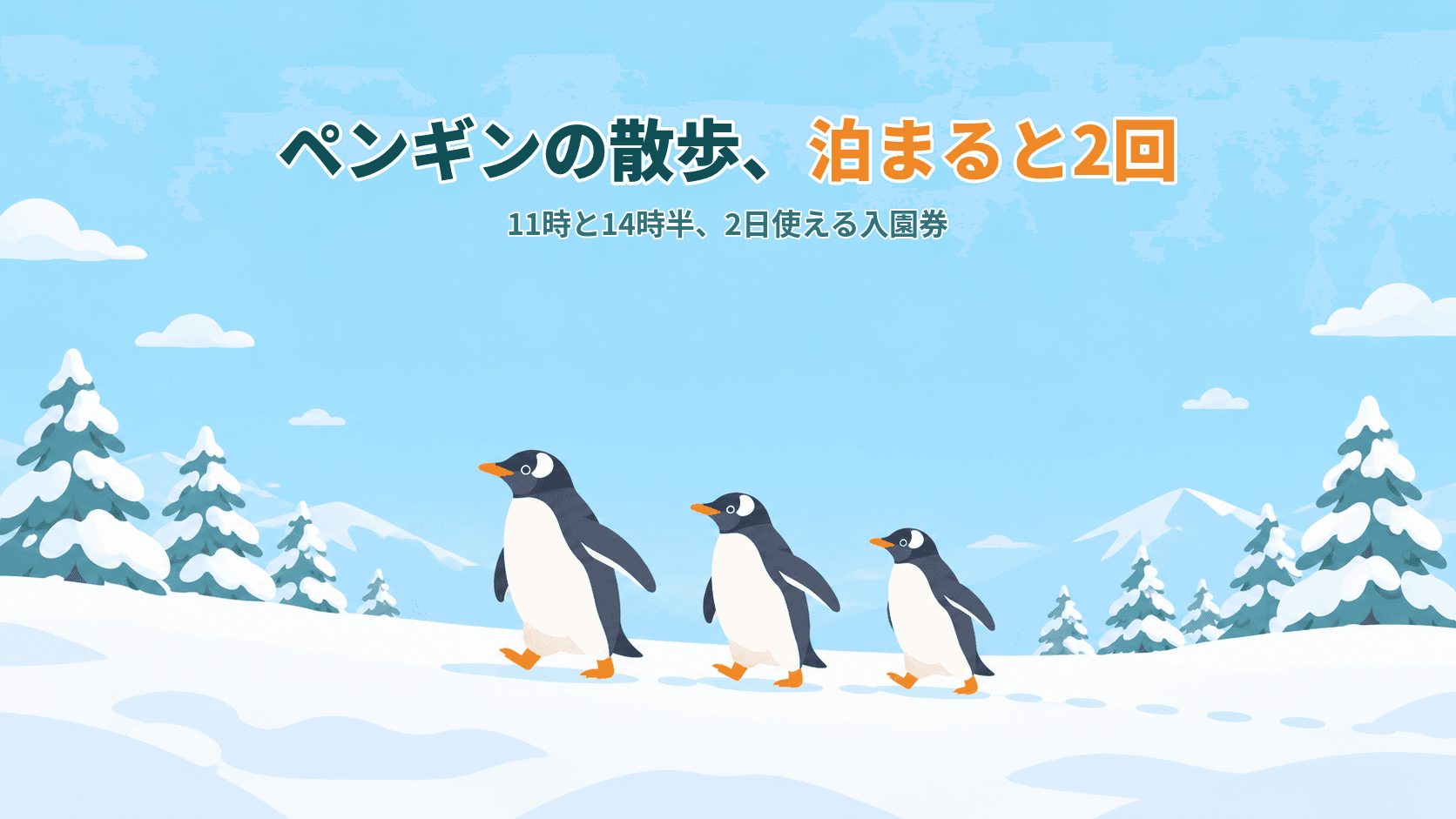 旭山動物園のペンギンの散歩、泊まると2回見られる?11時と14時半の散歩と、2日使える入園券