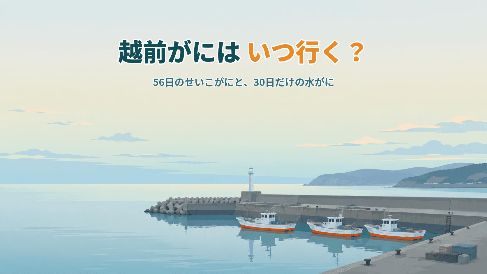 越前がにはいつ行く?56日しかないせいこがにと、30日だけの水がに